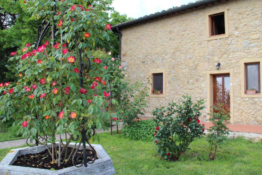 Agriturismo Il Castagnolino Villa San Gimignano Room photo